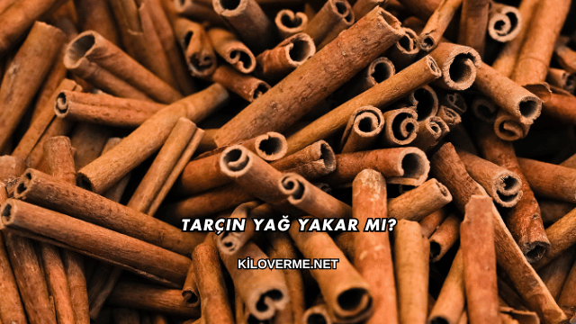 Tarçın Yağ Yakar mı?
