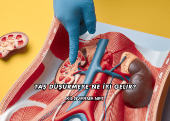 Taş Düşürmeye Ne İyi Gelir?