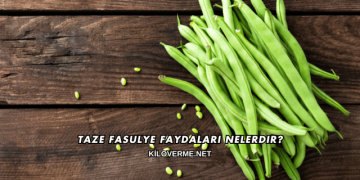 Taze Fasulye Faydaları Nelerdir?