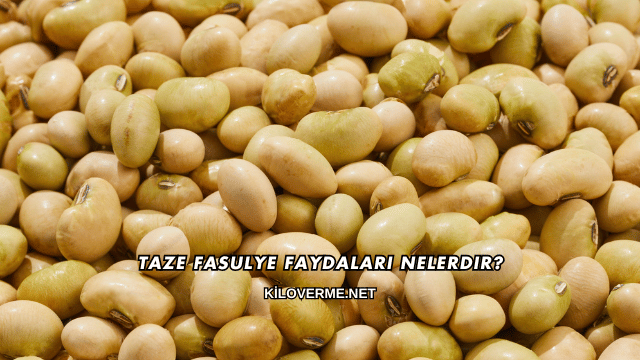 Taze Fasulye Faydaları Nelerdir?