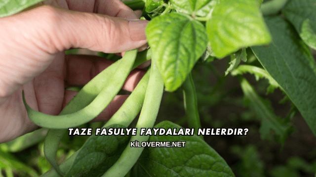 Taze Fasulye Faydaları Nelerdir?