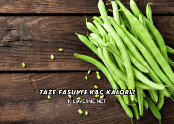 Taze Fasulye Kaç Kalori?