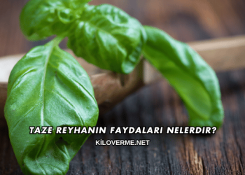 Taze Reyhanın Faydaları Nelerdir?