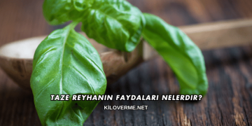 Taze Reyhanın Faydaları Nelerdir?