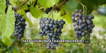 Taze Üzümün Faydaları Nelerdir?