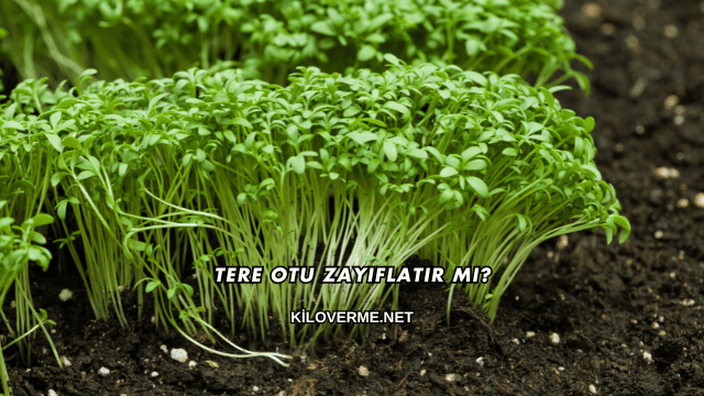 Tere Otu Zayıflatır mı?