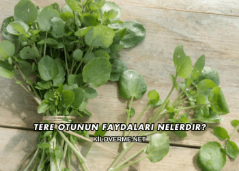 Tere Otunun Faydaları Nelerdir?