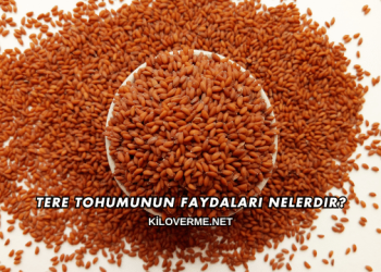 Tere Tohumunun Faydaları Nelerdir?