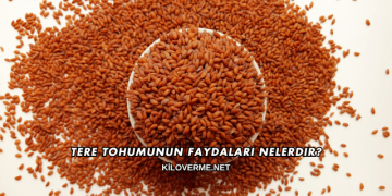 Tere Tohumunun Faydaları Nelerdir?