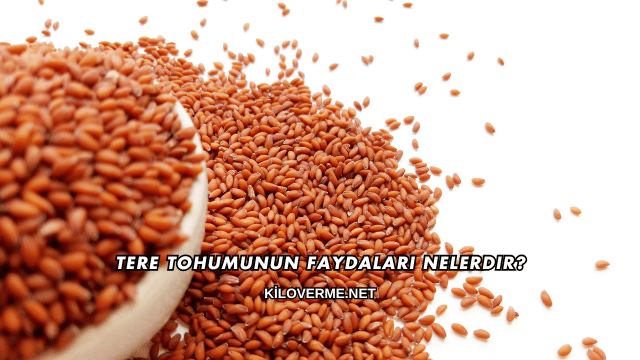 Tere Tohumunun Faydaları Nelerdir?