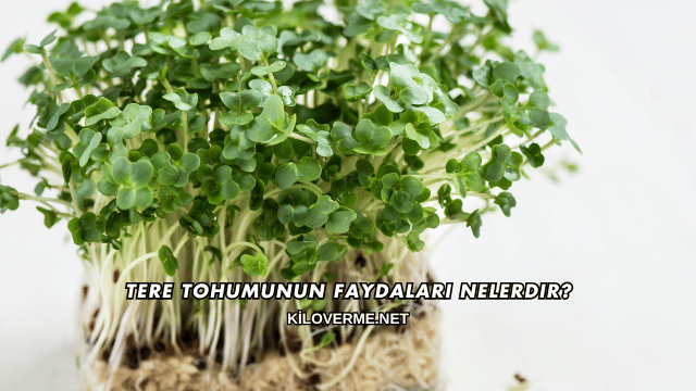 Tere Tohumunun Faydaları Nelerdir?