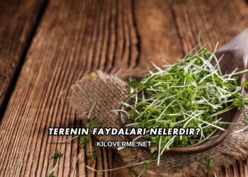 Terenin Faydaları Nelerdir?
