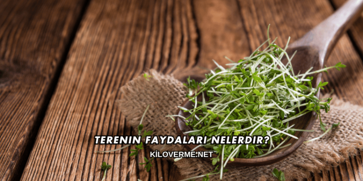 Terenin Faydaları Nelerdir?