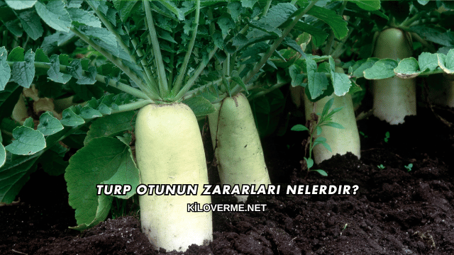 Turp Otunun Zararları Nelerdir?