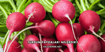 Turpun Faydaları Nelerdir?