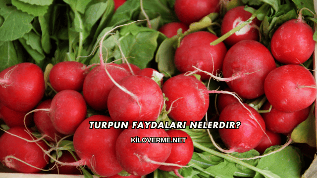 Turpun Faydaları Nelerdir?