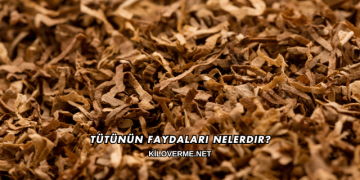 Tütünün Faydaları Nelerdir?