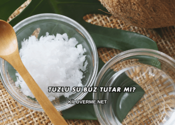 Tuzlu Su Buz Tutar mı?