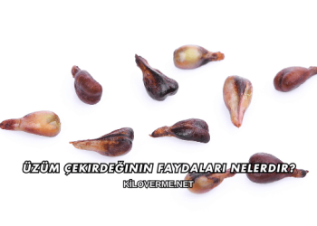 Üzüm Çekirdeğinin Faydaları Nelerdir?