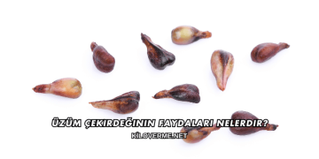 Üzüm Çekirdeğinin Faydaları Nelerdir?