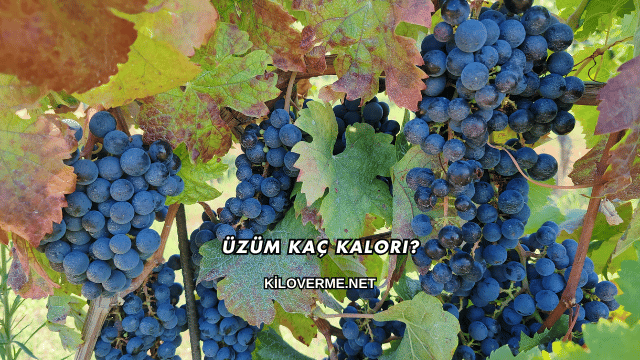 Üzüm Kaç Kalori?