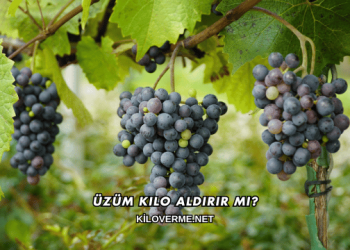 Üzüm Kilo Aldırır mı?
