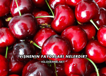 Vişnenin Faydaları Nelerdir?