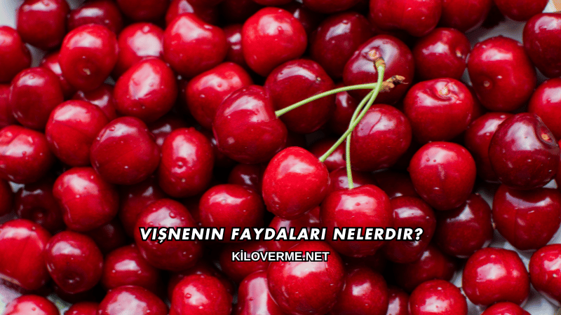 Vişnenin Faydaları Nelerdir?