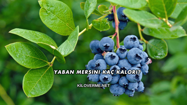 Yaban Mersini Kaç Kalori?