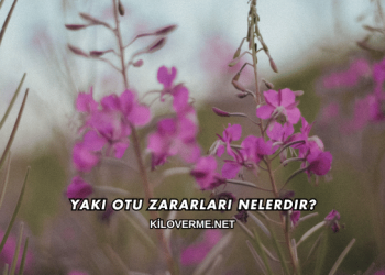 Yakı Otu Zararları Nelerdir?