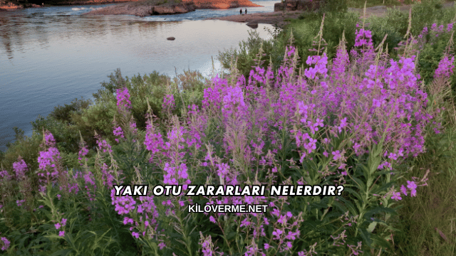Yakı Otu Zararları Nelerdir?