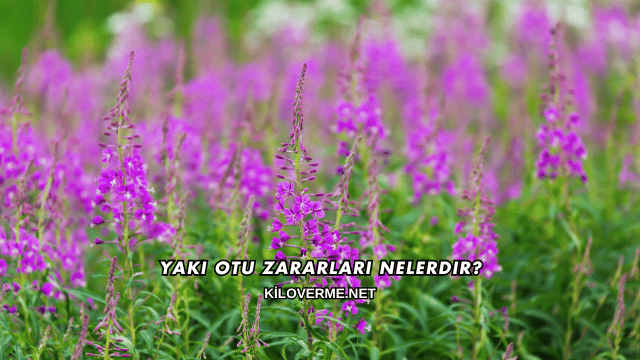 Yakı Otu Zararları Nelerdir?