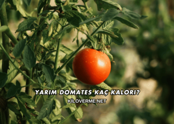 Yarım Domates Kaç Kalori?