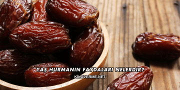 Yaş Hurmanın Faydaları Nelerdir?