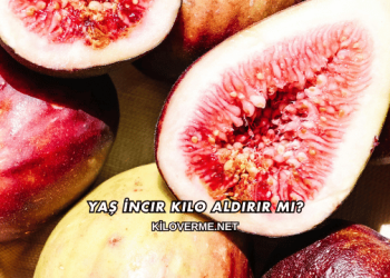 Yaş İncir Kilo Aldırır mı?
