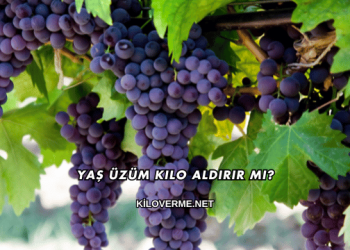 Yaş Üzüm Kilo Aldırır mı?