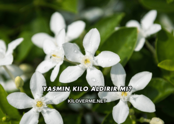 Yasmin Kilo Aldırır mı?