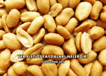 Yer Fıstığı Faydaları Nelerdir?