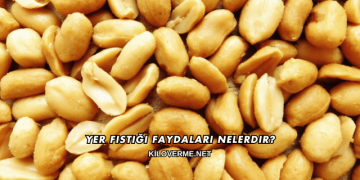 Yer Fıstığı Faydaları Nelerdir?