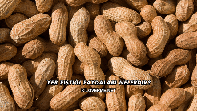 Yer Fıstığı Faydaları Nelerdir?