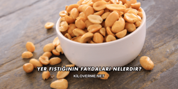 Yer Fıstığının Faydaları Nelerdir?