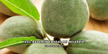 Yeşil Bademin Faydaları Nelerdir?