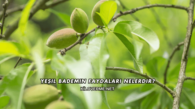 Yeşil Bademin Faydaları Nelerdir?