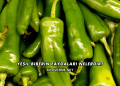 Yeşil Biberin Faydaları Nelerdir?