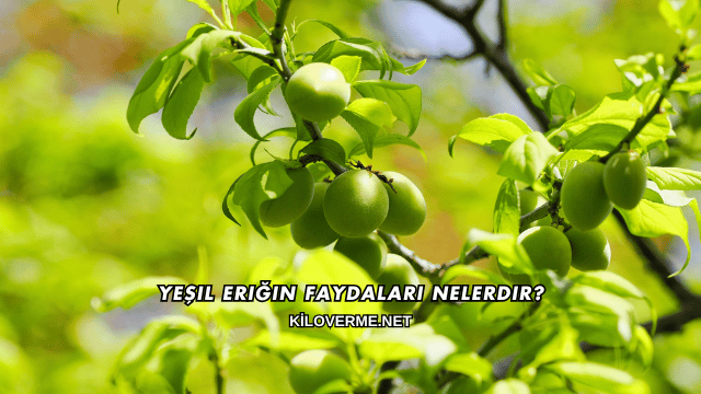 Yeşil Eriğin Faydaları Nelerdir?