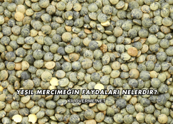 Yeşil Mercimeğin Faydaları Nelerdir?