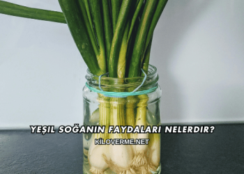 Yeşil Soğanın Faydaları Nelerdir?