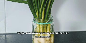 Yeşil Soğanın Faydaları Nelerdir?