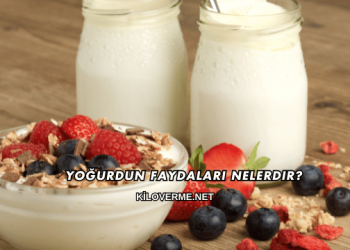 Yoğurdun Faydaları Nelerdir?