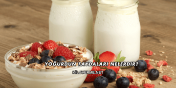 Yoğurdun Faydaları Nelerdir?